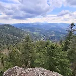 Au Petit Donon Rothau