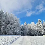 Holiday home Au Petit Donon Rothau