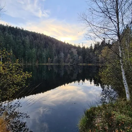 Au Petit Donon * Rothau