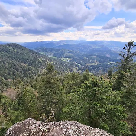 Au Petit Donon Rothau