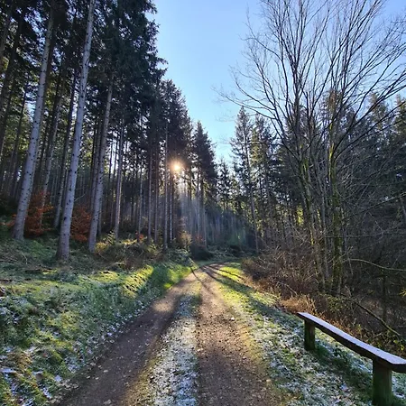 Au Petit Donon Vakantiehuis