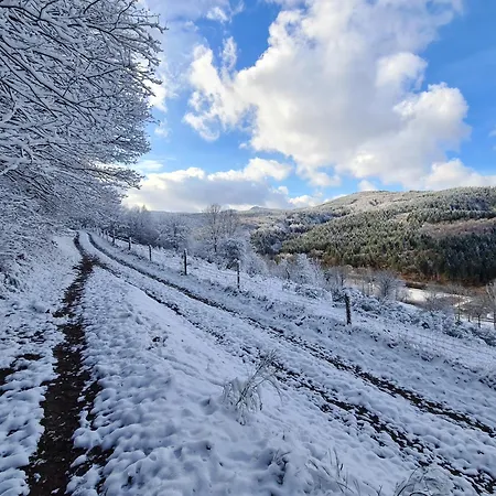 Au Petit Donon * Rothau