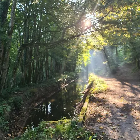 Vakantiehuis Au Petit Donon