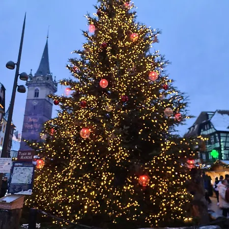 Au Petit Donon Vakantiehuis Rothau