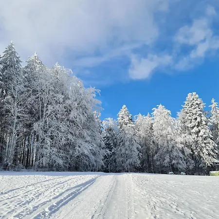 Prázdninový dům Au Petit Donon Rothau