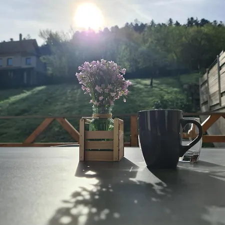 Au Petit Donon Vakantiehuis *