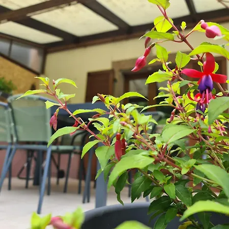 Au Petit Donon Holiday home Rothau